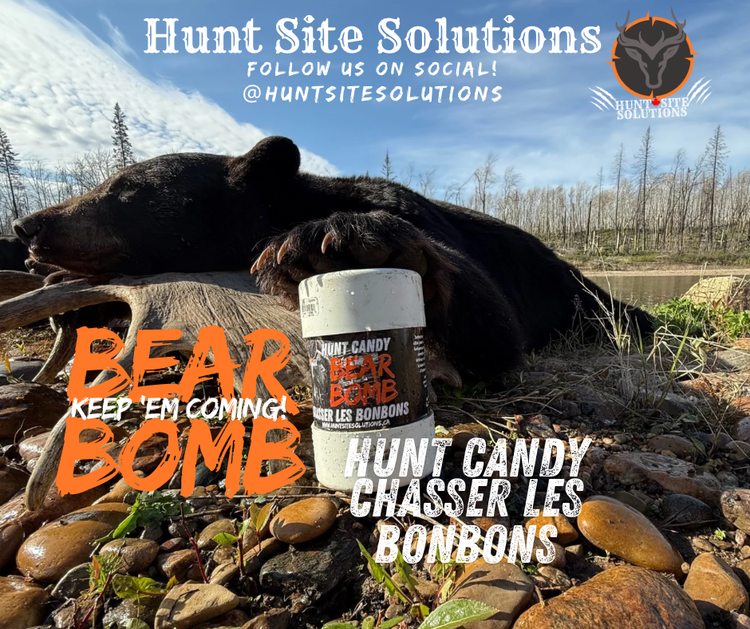 BEAR BOMB HUNT CANDY CHASSER LES BONBONS